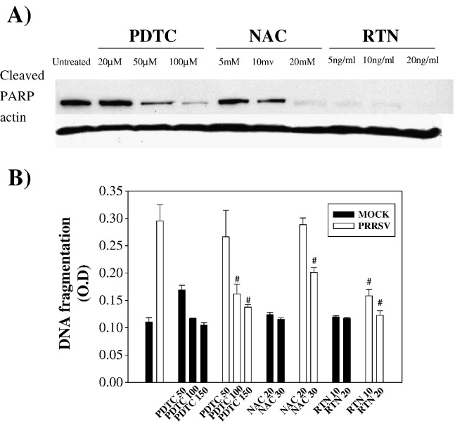 Fig. 9