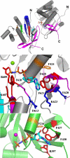 FIGURE 6.