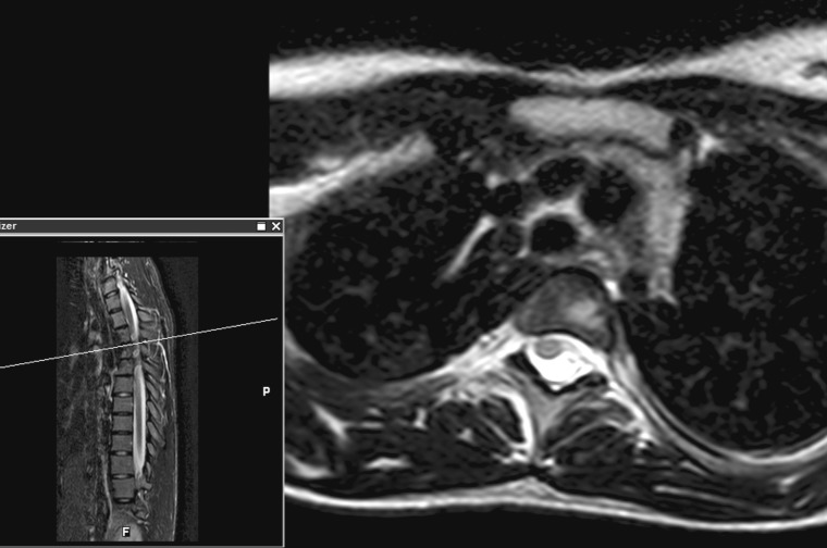 Fig. 3