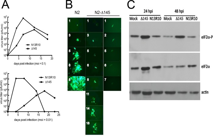 FIG 3