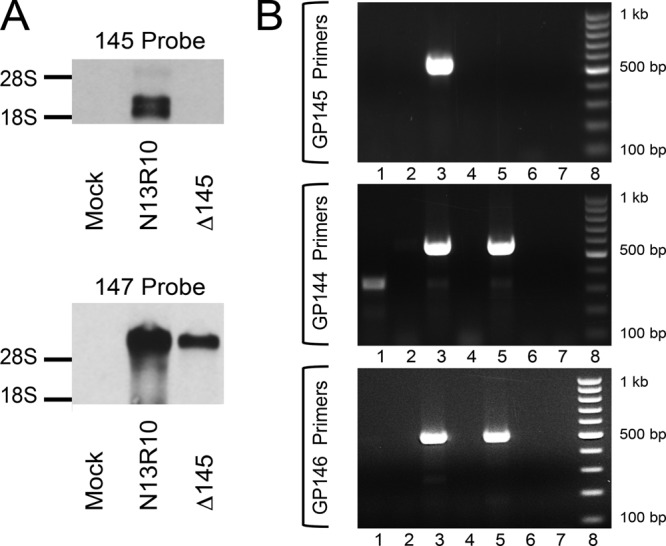 FIG 2