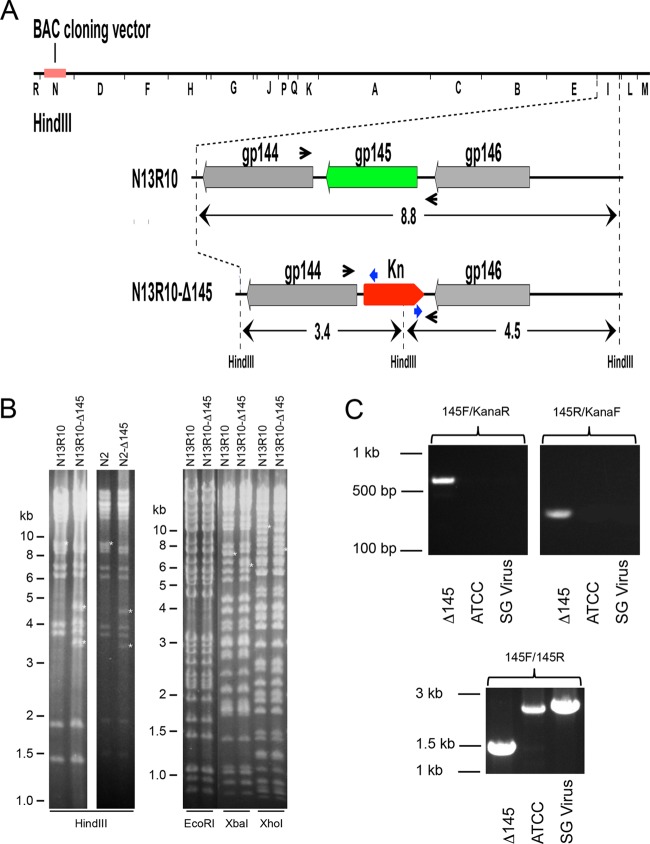 FIG 1