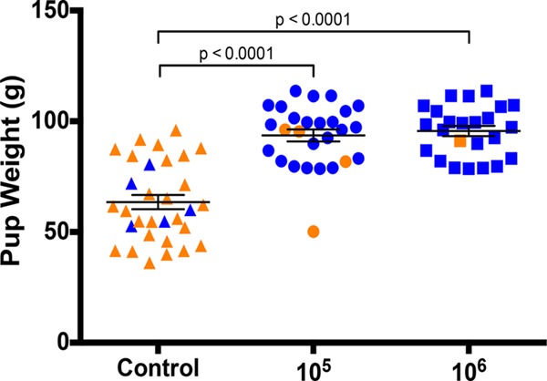 FIG 6