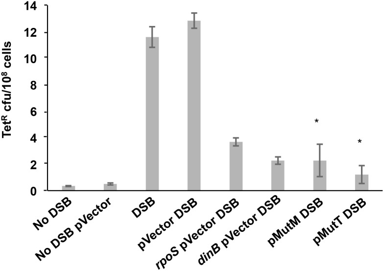 Fig 5