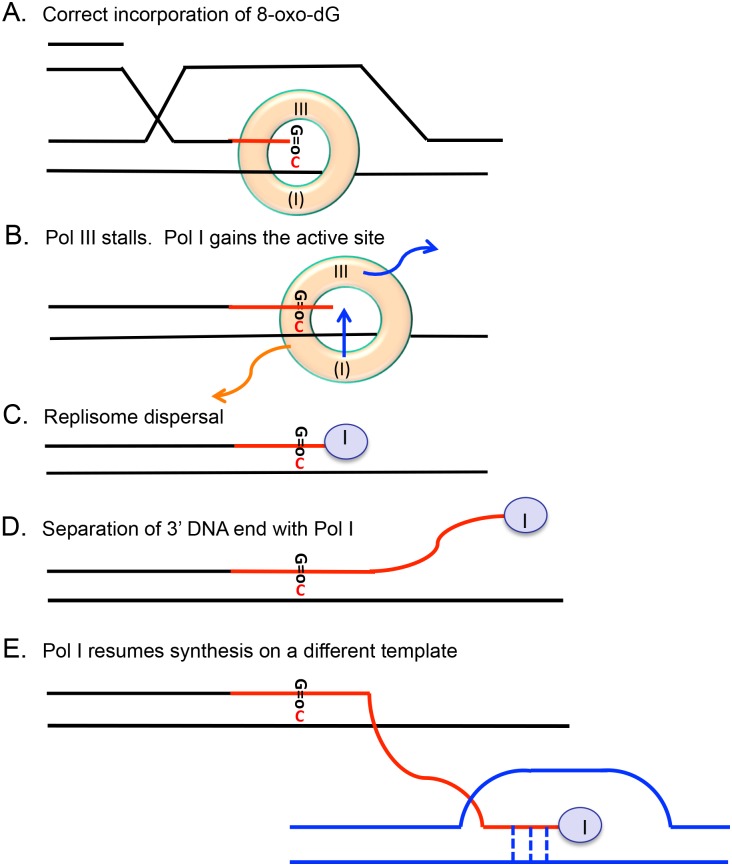 Fig 8