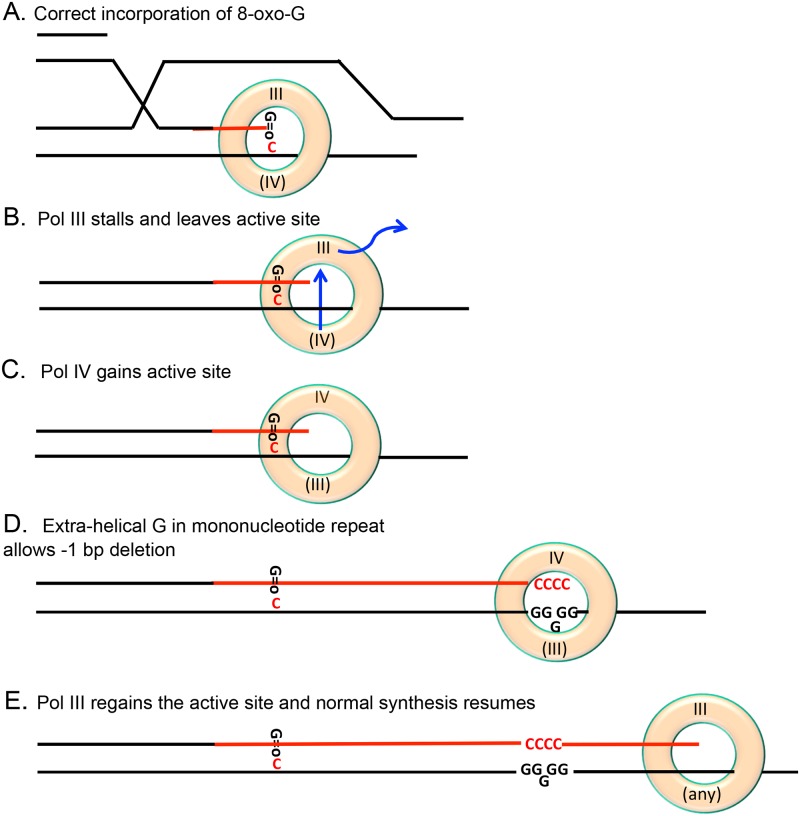 Fig 7