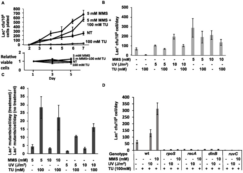 Fig 6