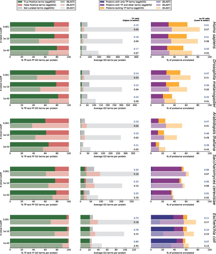 Fast Genome-Wide Functional Annotation through Orthology Assignment by ...