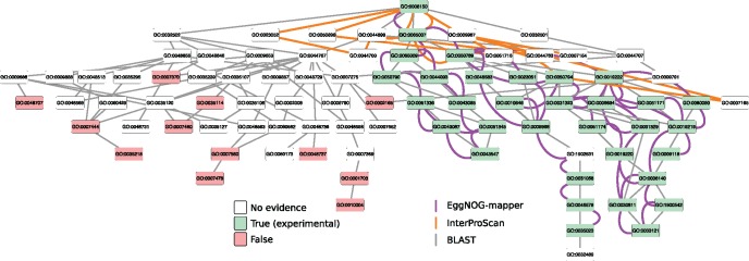 Fast Genome-Wide Functional Annotation through Orthology Assignment by ...