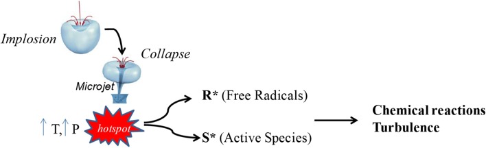 Fig. 12