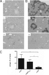 FIG. 9.