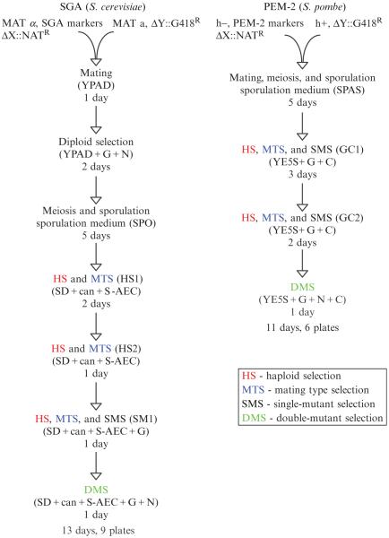 Figure 9.3