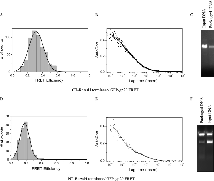 FIGURE 7.