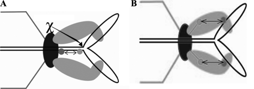 FIGURE 10.