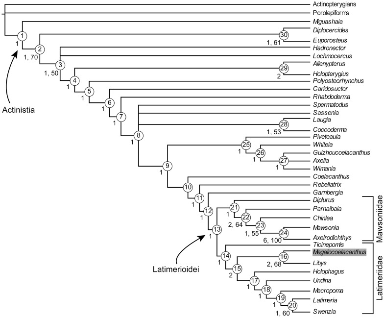 Figure 22