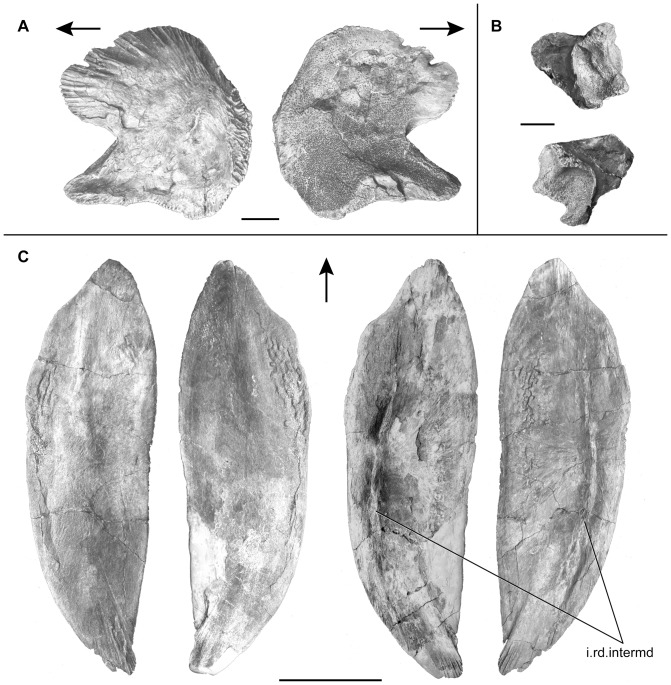 Figure 14