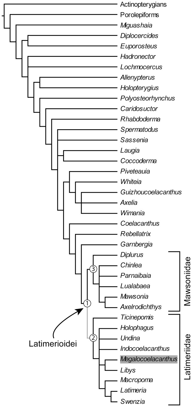 Figure 21