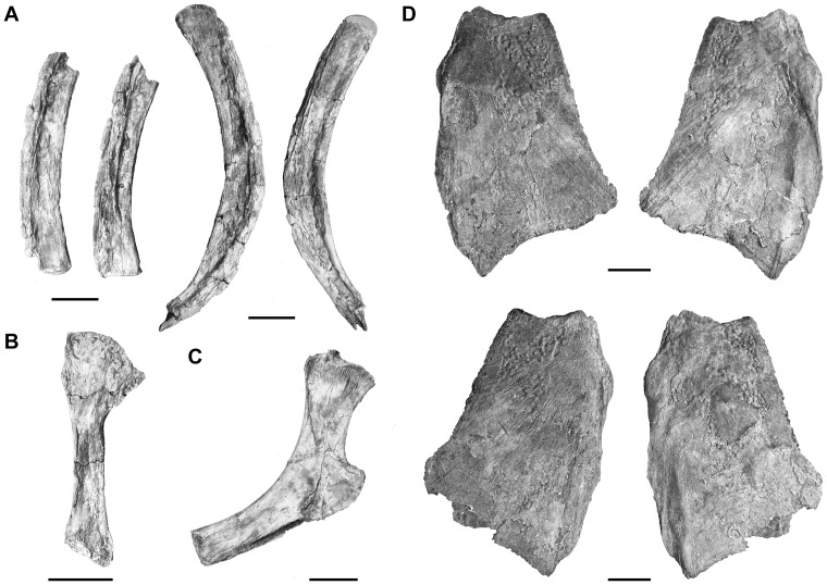 Figure 15