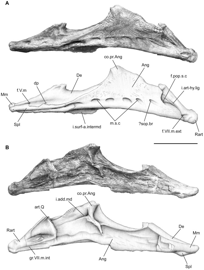 Figure 13