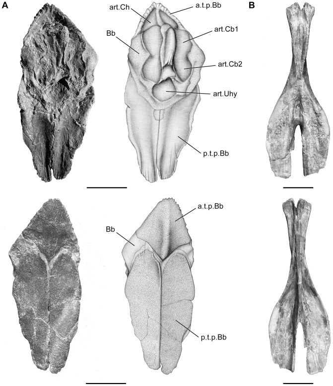 Figure 16