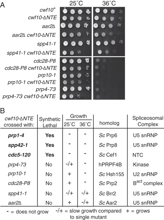 Fig 5