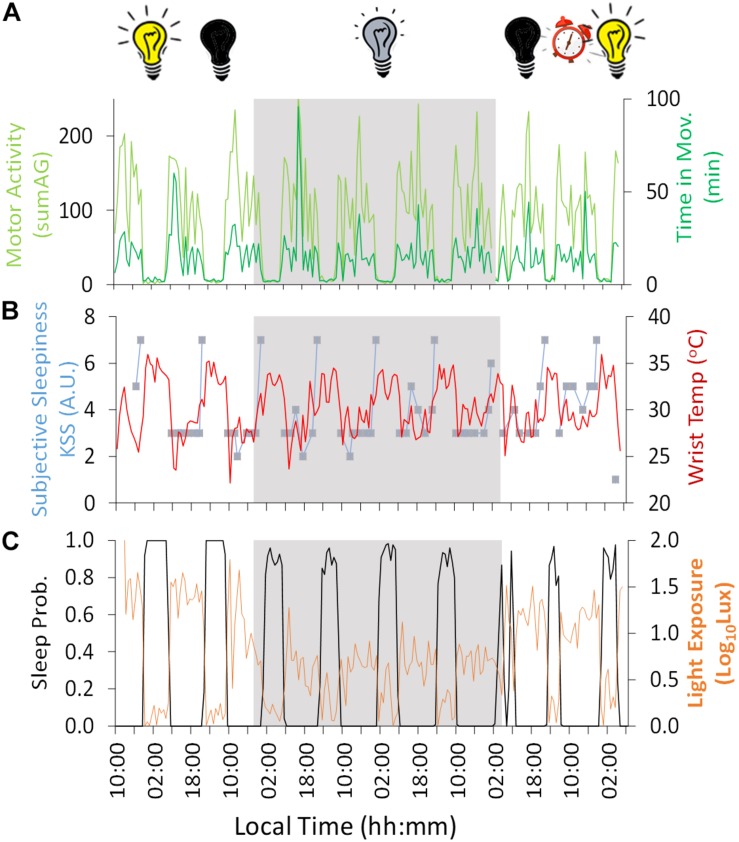 FIGURE 2