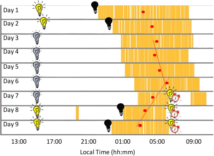 FIGURE 3