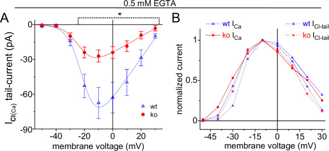 Figure 7—figure supplement 1.