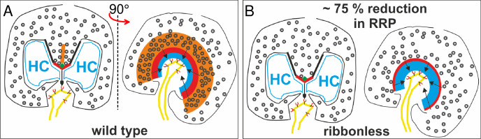 Figure 9.