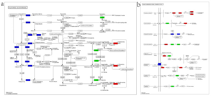 Figure 12