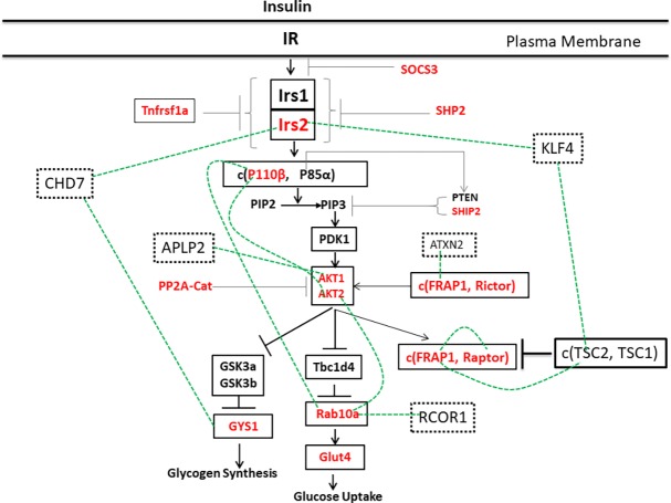 Fig 3