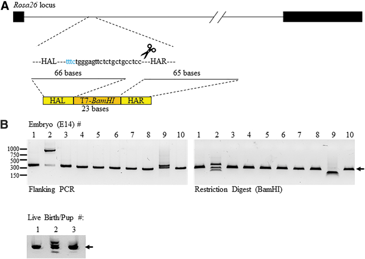 FIG. 3.