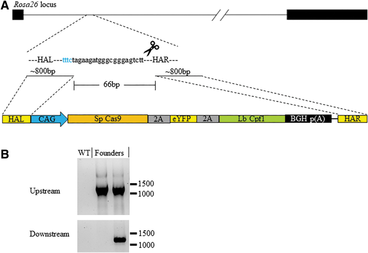 FIG. 4.