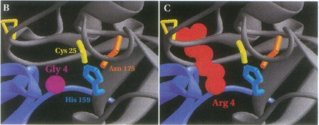 Figure 5b