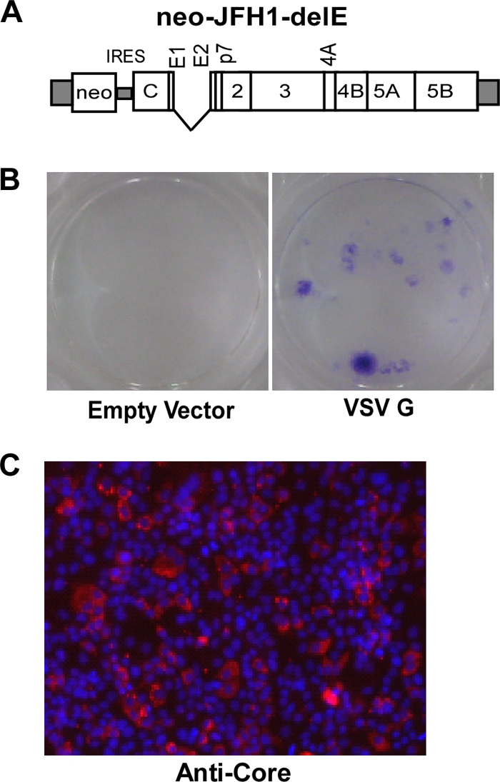 FIG. 8.