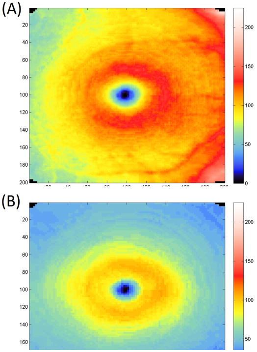 FIGURE 2