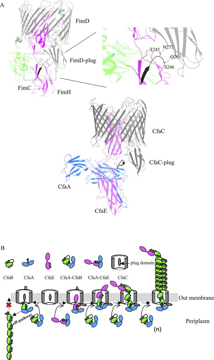 Fig 6