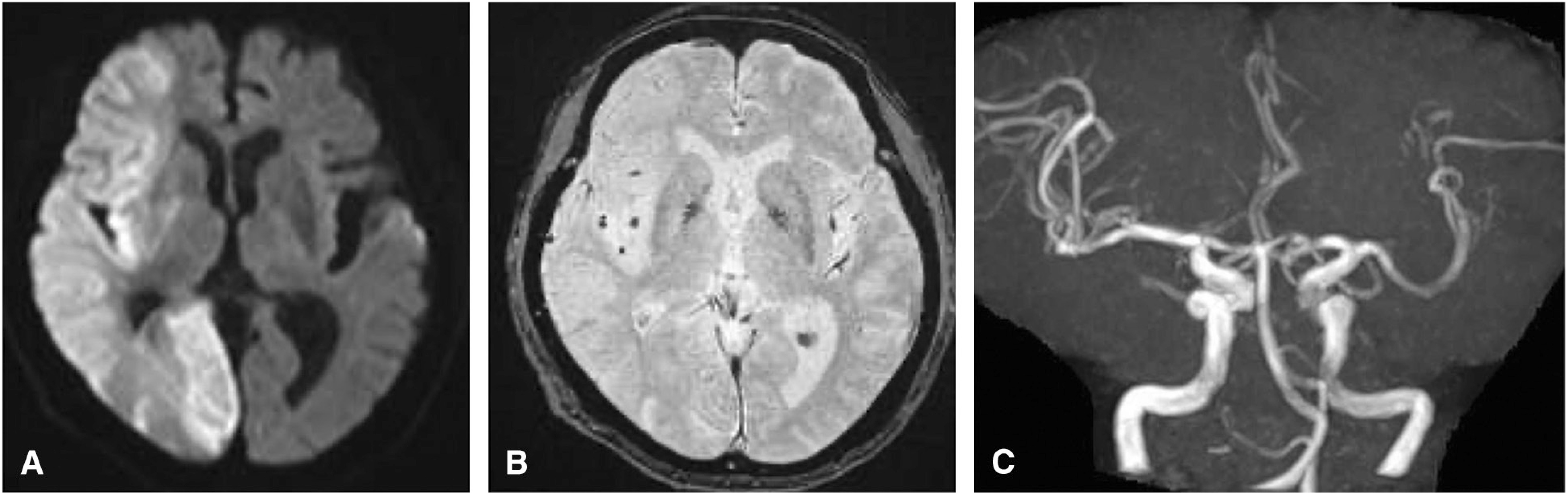 Fig. 5