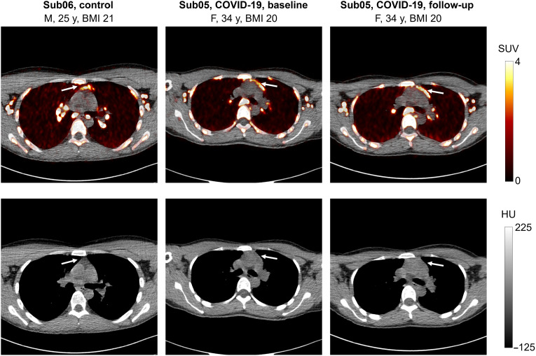 Fig. 7.