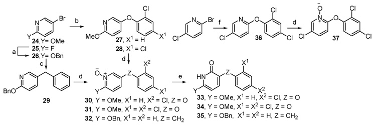 Scheme 3