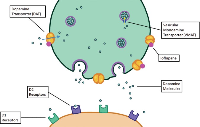 Figure 7.