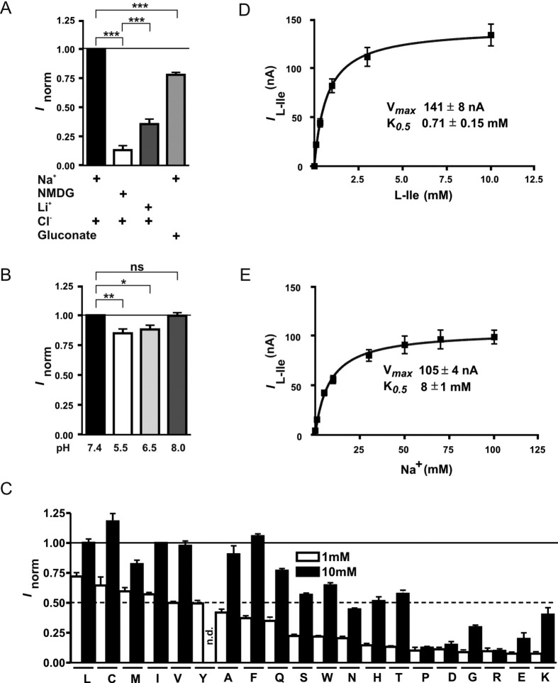 Supplementary Figure 2