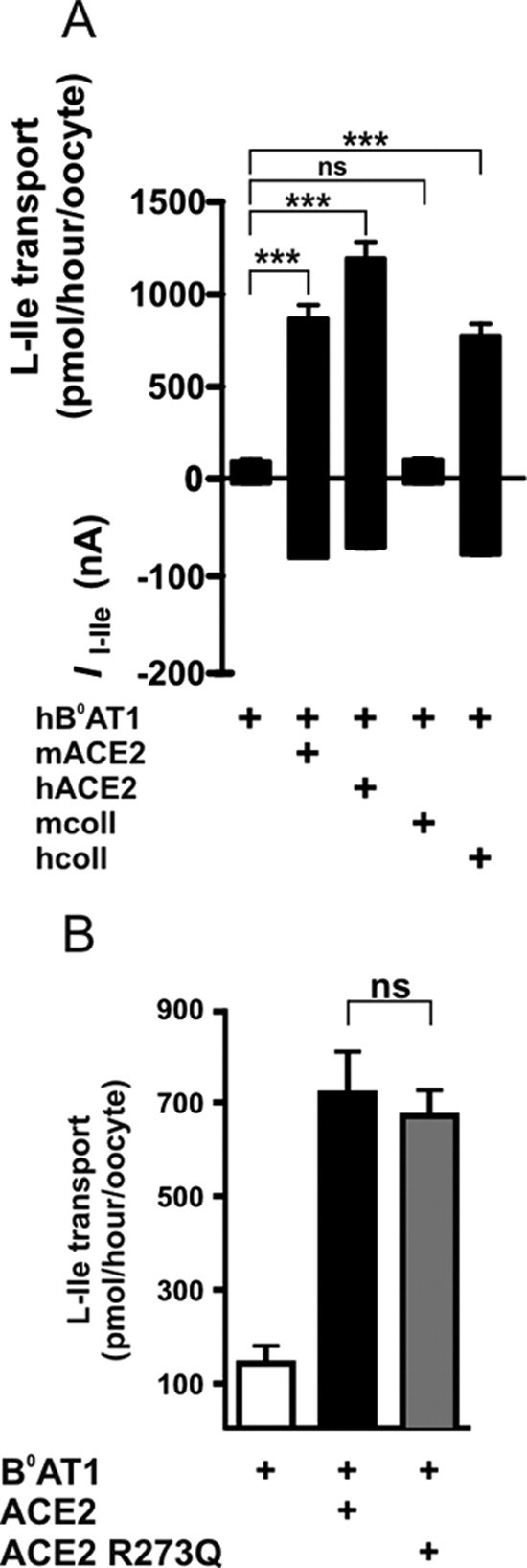 Supplementary Figure 1