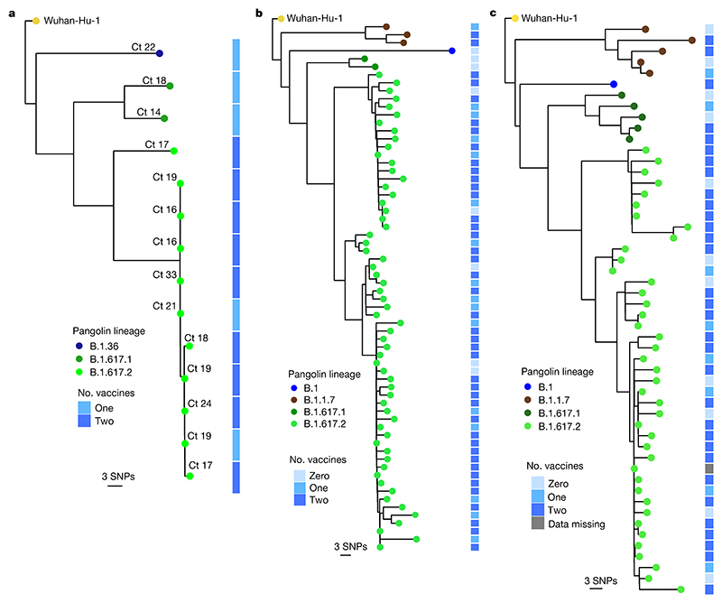 Fig. 3