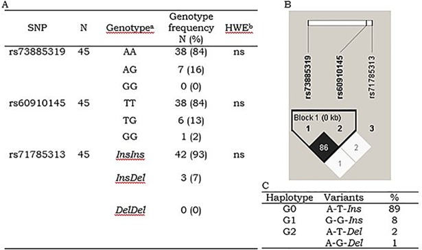 Fig 1