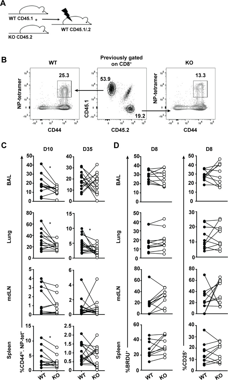 Fig 5