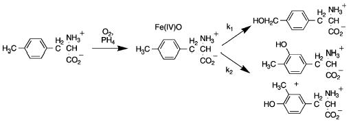 Scheme 1