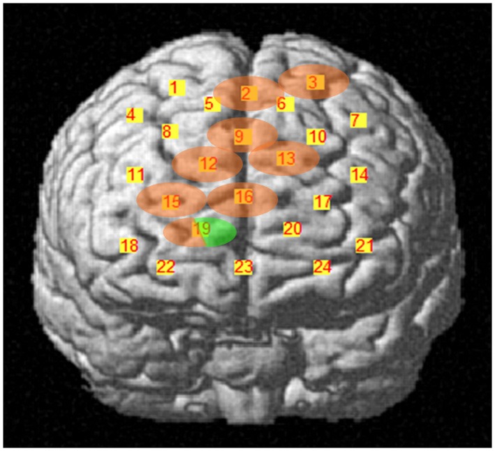 Figure 5