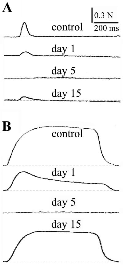 FIG. 5.