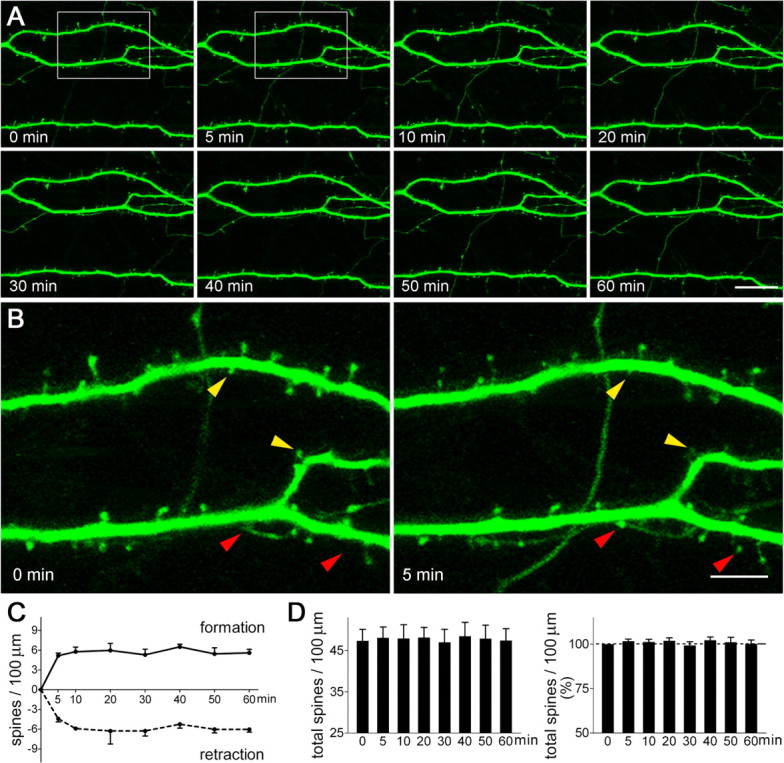 Figure 4.